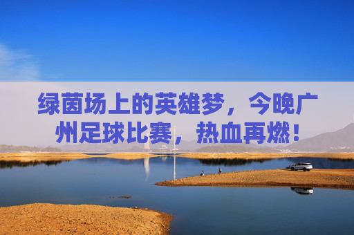 绿茵场上的英雄梦，今晚广州足球比赛，热血再燃！