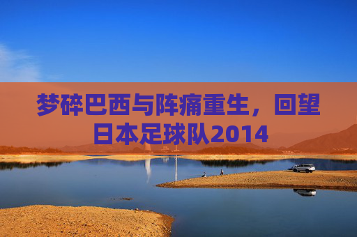 梦碎巴西与阵痛重生，回望日本足球队2014