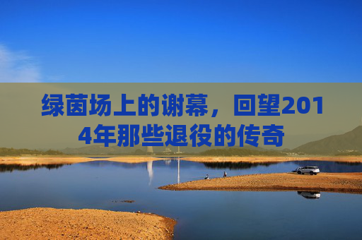 绿茵场上的谢幕，回望2014年那些退役的传奇