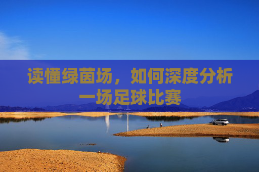读懂绿茵场，如何深度分析一场足球比赛