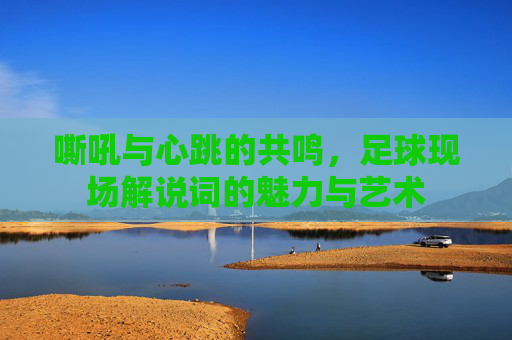 嘶吼与心跳的共鸣，足球现场解说词的魅力与艺术