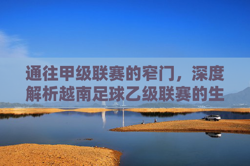 通往甲级联赛的窄门，深度解析越南足球乙级联赛的生存法则与未来图景