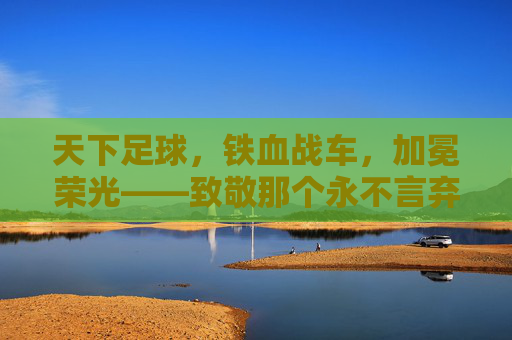 天下足球，铁血战车，加冕荣光——致敬那个永不言弃的德国梦