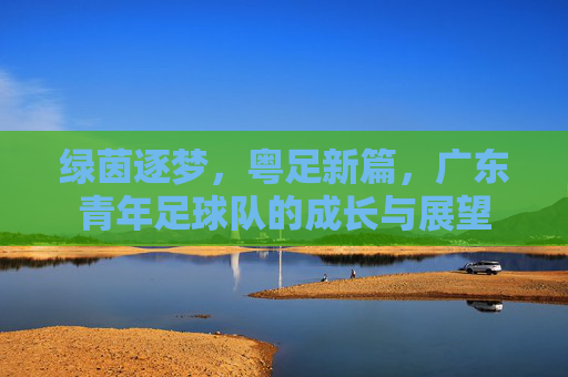 绿茵逐梦，粤足新篇，广东青年足球队的成长与展望