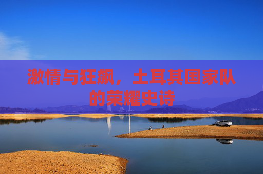 激情与狂飙，土耳其国家队的荣耀史诗