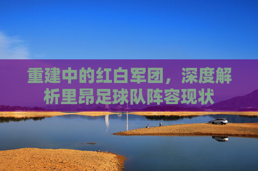 重建中的红白军团，深度解析里昂足球队阵容现状
