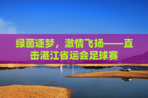 绿茵逐梦，激情飞扬——直击湛江省运会足球赛