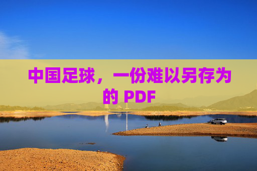 中国足球，一份难以另存为的 PDF