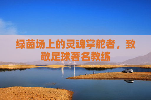 绿茵场上的灵魂掌舵者，致敬足球著名教练