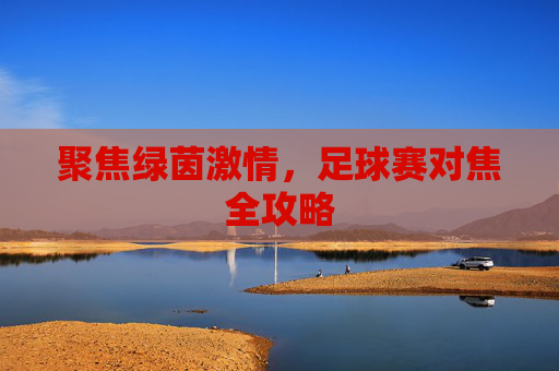 聚焦绿茵激情，足球赛对焦全攻略