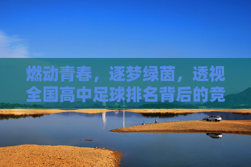 燃动青春，逐梦绿茵，透视全国高中足球排名背后的竞技与成长
