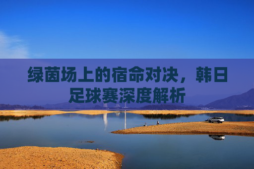 绿茵场上的宿命对决，韩日足球赛深度解析