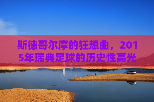 斯德哥尔摩的狂想曲，2015年瑞典足球的历史性高光