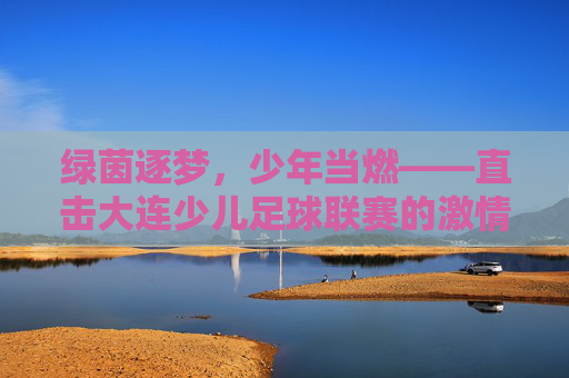 绿茵逐梦，少年当燃——直击大连少儿足球联赛的激情时刻