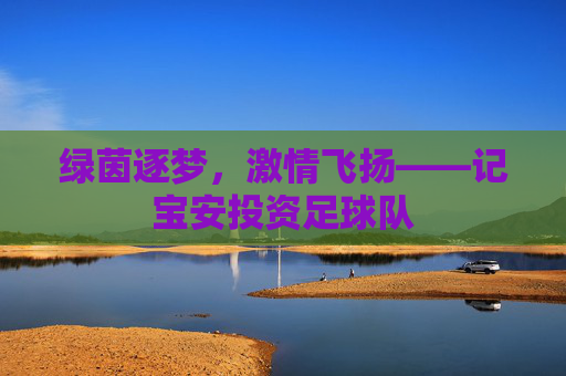 绿茵逐梦，激情飞扬——记宝安投资足球队