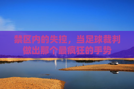 禁区内的失控，当足球裁判做出那个最疯狂的手势