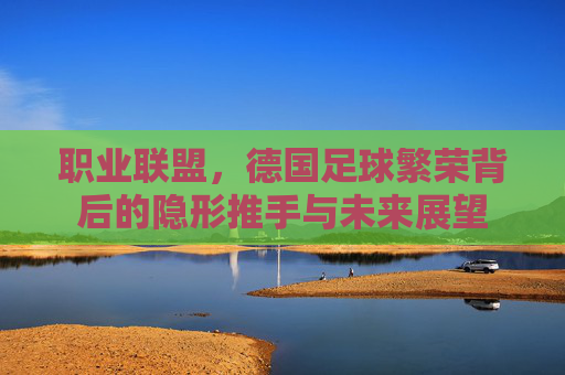 职业联盟，德国足球繁荣背后的隐形推手与未来展望