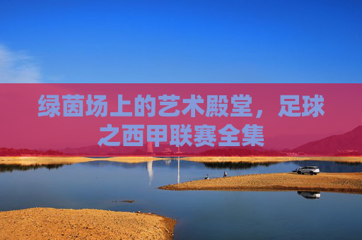 绿茵场上的艺术殿堂，足球之西甲联赛全集