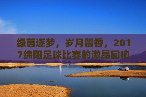 绿茵逐梦，岁月留香，2017绵阳足球比赛的激昂回响