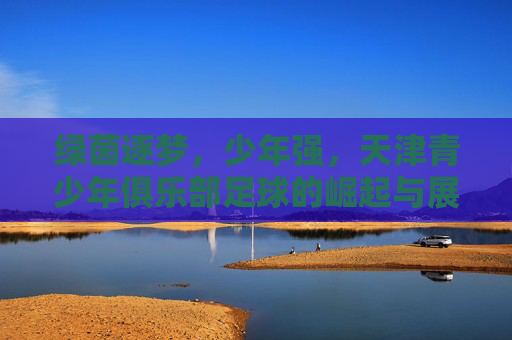 绿茵逐梦，少年强，天津青少年俱乐部足球的崛起与展望