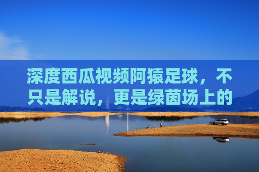 深度西瓜视频阿猿足球，不只是解说，更是绿茵场上的战术教科书