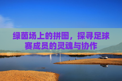 绿茵场上的拼图，探寻足球赛成员的灵魂与协作