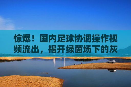 惊爆！国内足球协调操作视频流出，揭开绿茵场下的灰色地带
