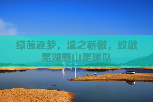 绿茵逐梦，城之骄傲，致敬芜湖泰山足球队