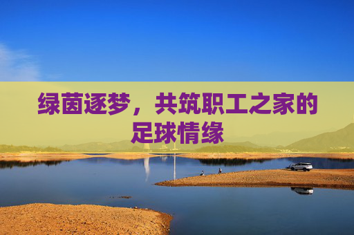 绿茵逐梦，共筑职工之家的足球情缘
