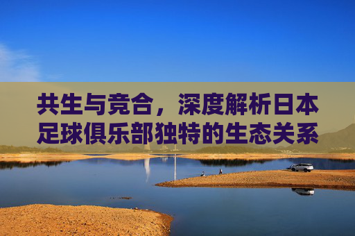 共生与竞合，深度解析日本足球俱乐部独特的生态关系