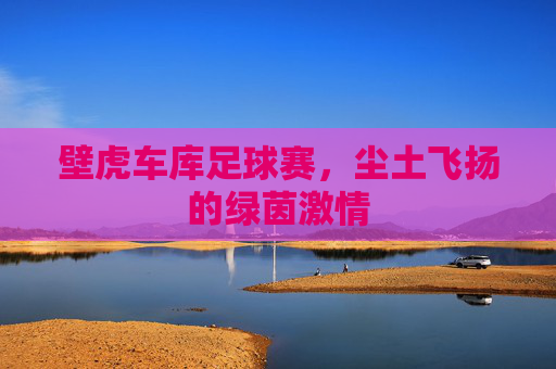 壁虎车库足球赛，尘土飞扬的绿茵激情