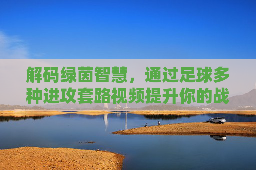 解码绿茵智慧，通过足球多种进攻套路视频提升你的战术素养