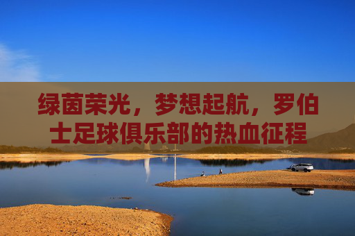 绿茵荣光，梦想起航，罗伯士足球俱乐部的热血征程
