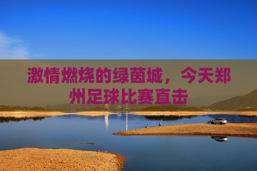 激情燃烧的绿茵城，今天郑州足球比赛直击