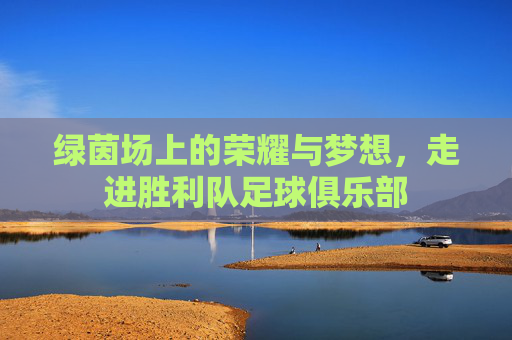 绿茵场上的荣耀与梦想，走进胜利队足球俱乐部