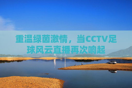 重温绿茵激情，当CCTV足球风云直播再次响起