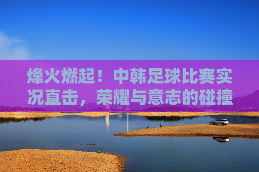 烽火燃起！中韩足球比赛实况直击，荣耀与意志的碰撞