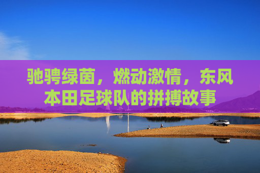 驰骋绿茵，燃动激情，东风本田足球队的拼搏故事