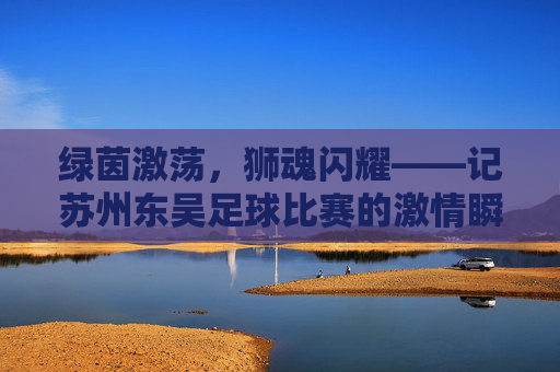 绿茵激荡，狮魂闪耀——记苏州东吴足球比赛的激情瞬间