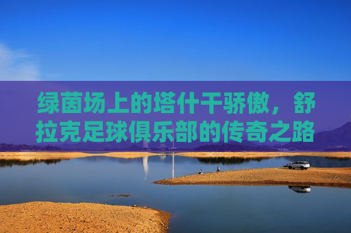 绿茵场上的塔什干骄傲，舒拉克足球俱乐部的传奇之路