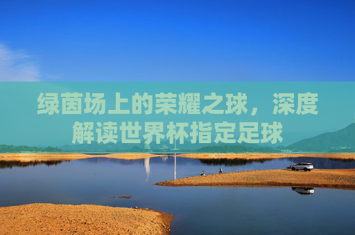 绿茵场上的荣耀之球，深度解读世界杯指定足球