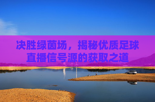 决胜绿茵场，揭秘优质足球直播信号源的获取之道