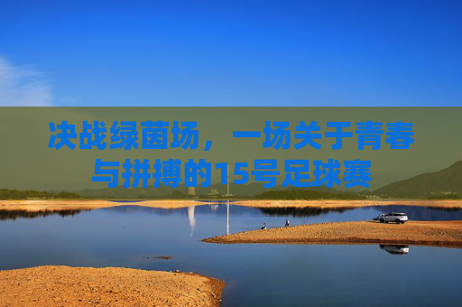 决战绿茵场，一场关于青春与拼搏的15号足球赛