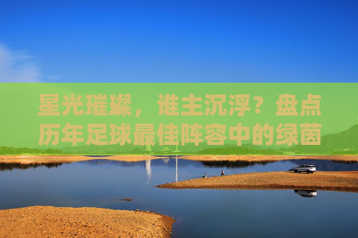 星光璀璨，谁主沉浮？盘点历年足球最佳阵容中的绿茵传奇