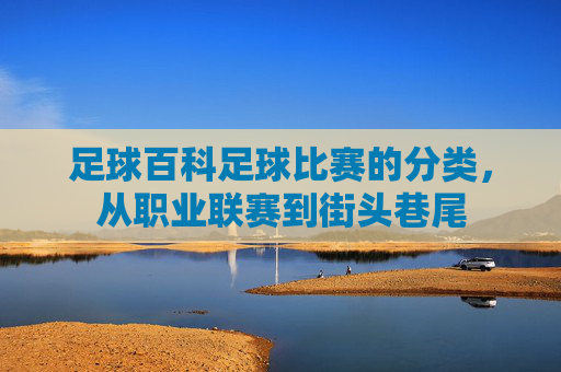 足球百科足球比赛的分类，从职业联赛到街头巷尾