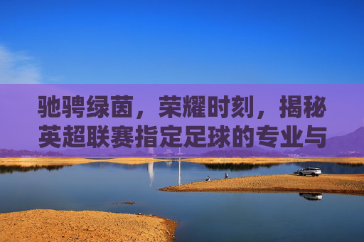 驰骋绿茵，荣耀时刻，揭秘英超联赛指定足球的专业与传奇