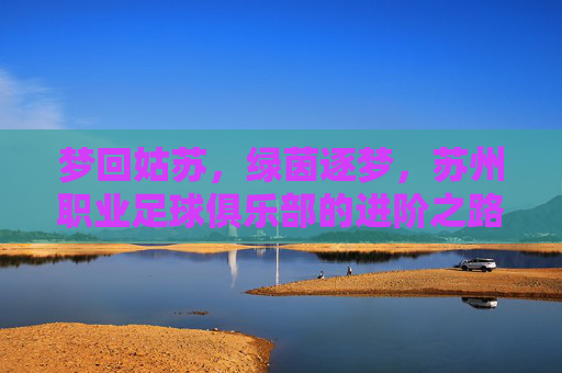 梦回姑苏，绿茵逐梦，苏州职业足球俱乐部的进阶之路