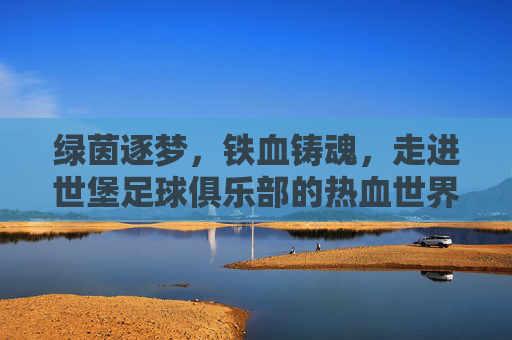 绿茵逐梦，铁血铸魂，走进世堡足球俱乐部的热血世界