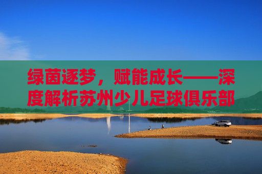 绿茵逐梦，赋能成长——深度解析苏州少儿足球俱乐部的教育价值