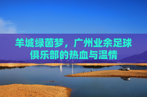 羊城绿茵梦，广州业余足球俱乐部的热血与温情